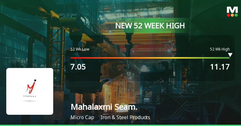 Broad-Based Technical Strength Lifts Mahalaxmi Seamless Ltd to 52-Week High of Rs 11.17