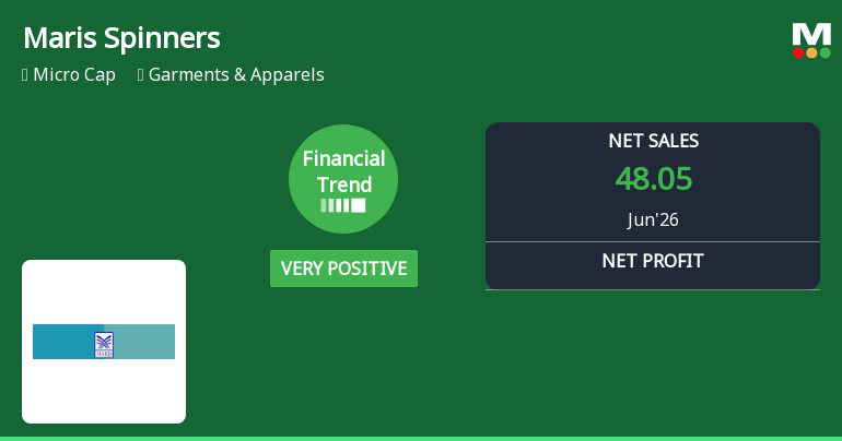 Maris Spinners Ltd Reports Strong Quarterly Turnaround Amid Financial Trend Shift