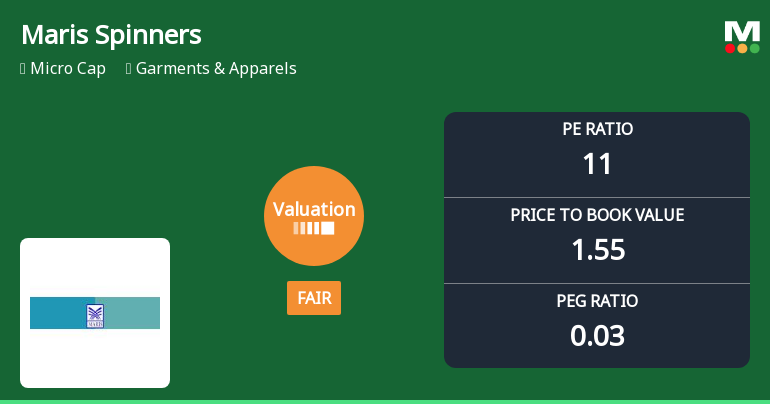 Maris Spinners Ltd Valuation Shifts Signal Changing Market Perception