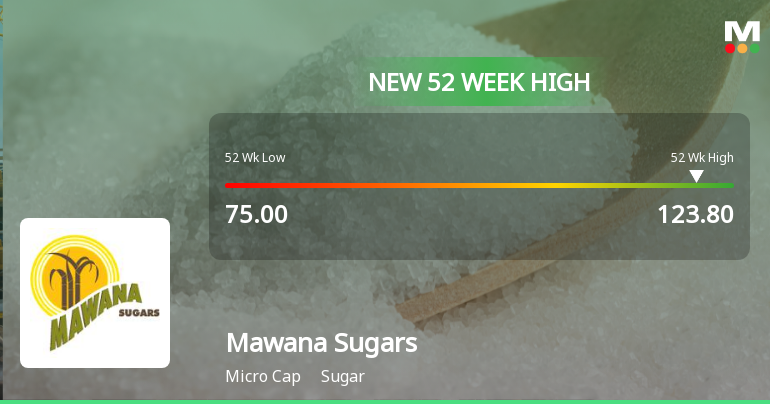 Broad-Based Technical Strength Lifts Mawana Sugars Ltd to 52-Week High of Rs 123.8