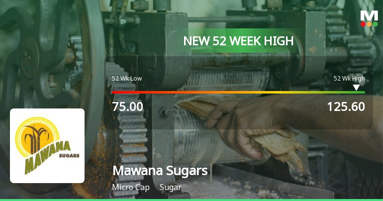Broad-Based Technical Strength Lifts Mawana Sugars Ltd to 52-Week High of Rs 125.6
