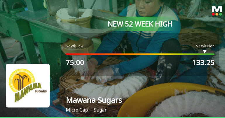 Broad-Based Technical Strength Lifts Mawana Sugars Ltd to 52-Week High of Rs 133.25