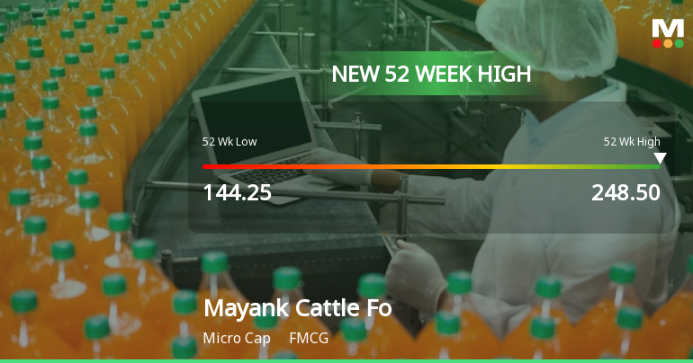Broad-Based Technical Strength Lifts Mayank Cattle Food Ltd to 52-Week High of Rs 248.5