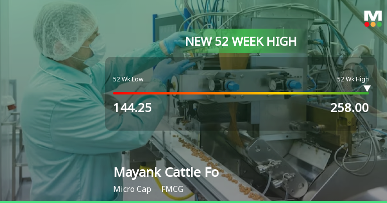 Broad-Based Technical Strength Lifts Mayank Cattle Food Ltd to 52-Week High of Rs 258