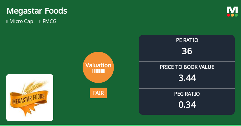 Megastar Foods Ltd Valuation Shifts to Fair Amidst Strong Returns