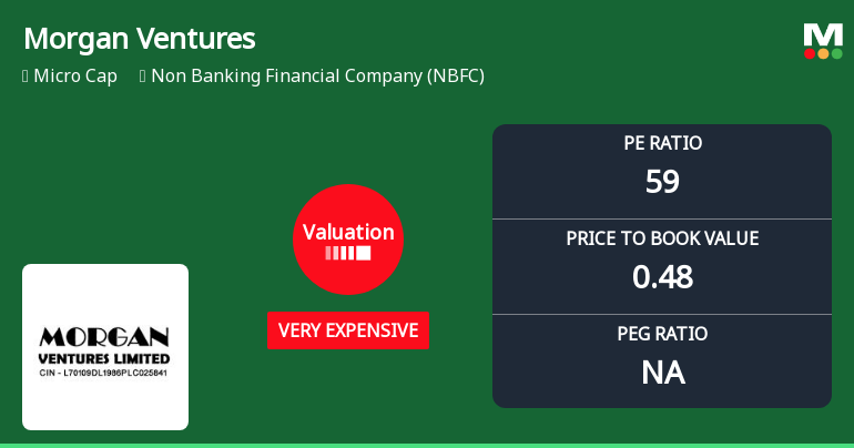 Morgan Ventures Ltd Valuation Shifts Signal Elevated Price Risk Amid Weak Returns
