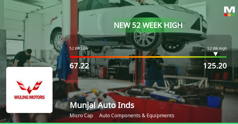 Broad-Based Technical Strength Lifts Munjal Auto Industries Ltd to 52-Week High of Rs 125.2