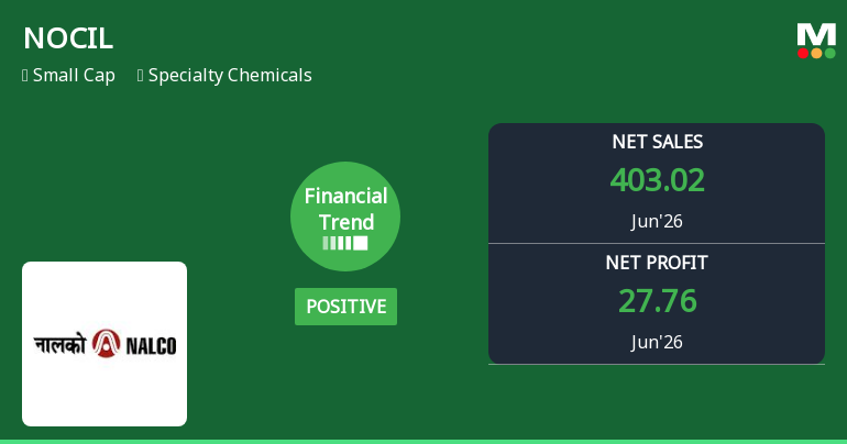 NOCIL Ltd Reports Strong Quarterly Turnaround with Record Revenue and Profit Margins