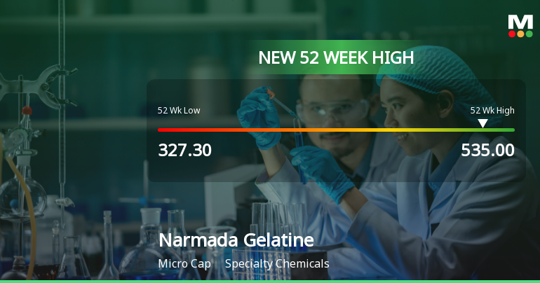 Broad-Based Technical Strength Lifts Narmada Gelatines Ltd to 52-Week High of Rs 535