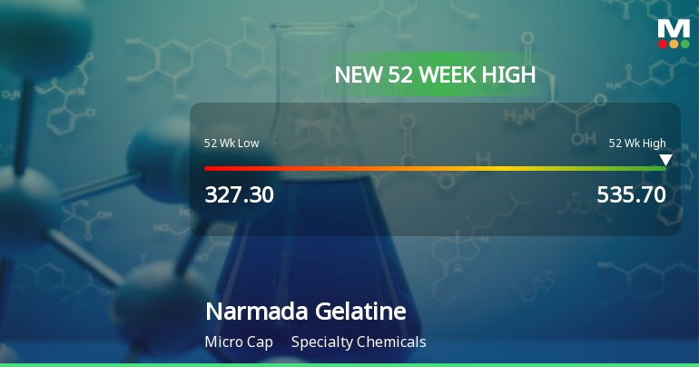 Broad-Based Technical Strength Lifts Narmada Gelatines Ltd to 52-Week High of Rs 535.7