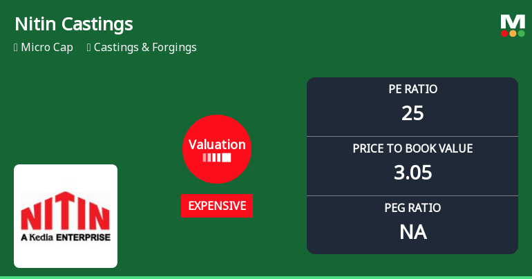 Nitin Castings Ltd Valuation Shifts Signal Price Attractiveness Concerns
