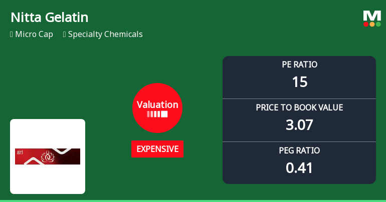 Nitta Gelatin India Ltd Valuation Shifts Signal Renewed Price Attractiveness