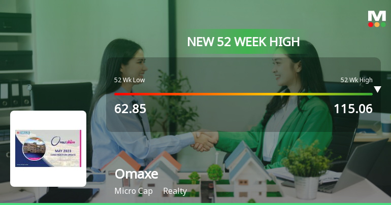 Broad-Based Technical Strength Lifts Omaxe Ltd to 52-Week High of Rs 116