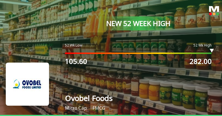 Broad-Based Technical Strength Lifts Ovobel Foods Ltd to 52-Week High of Rs 282
