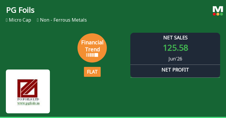 PG Foils Ltd Reports Flat Quarterly Performance Amid Mixed Financial Signals