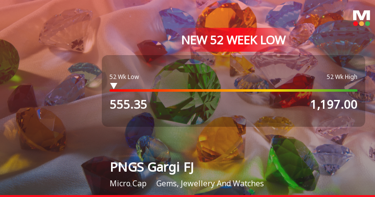 Markets Rally, But PNGS Gargi Fashion Jewellery Ltd Sinks to 52-Week Low in Stock-Specific Sell-Off