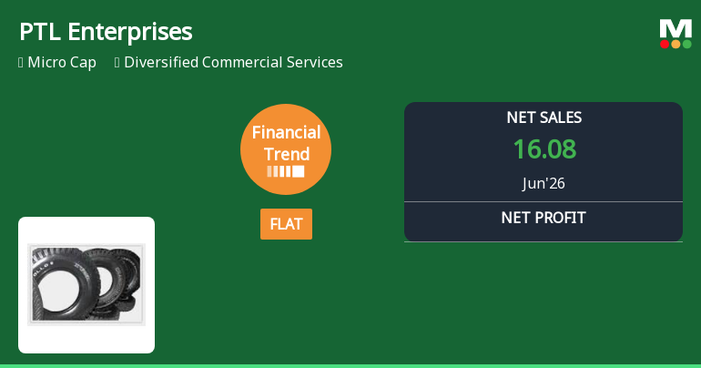 PTL Enterprises Ltd Reports Flat Quarterly Performance Amid Mixed Financial Indicators