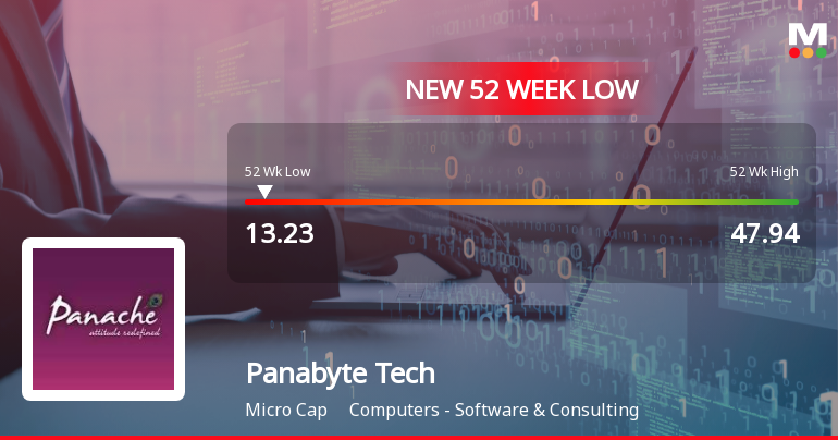 Panabyte Technologies Ltd Falls to 52-Week Low of Rs 13.23 as Sell-Off Deepens