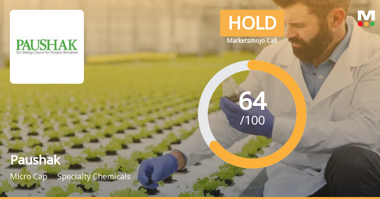Paushak Ltd is Rated Hold by MarketsMOJO