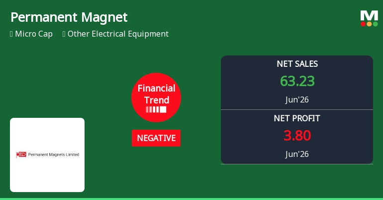 Permanent Magnets Ltd Reports Negative Financial Trend Amid Mixed Quarterly Performance