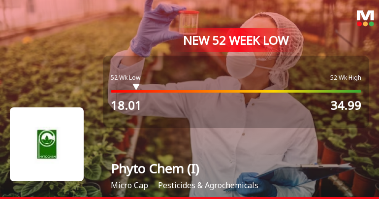Markets Rally, But Phyto Chem (India) Ltd Sinks to 52-Week Low in Stock-Specific Sell-Off