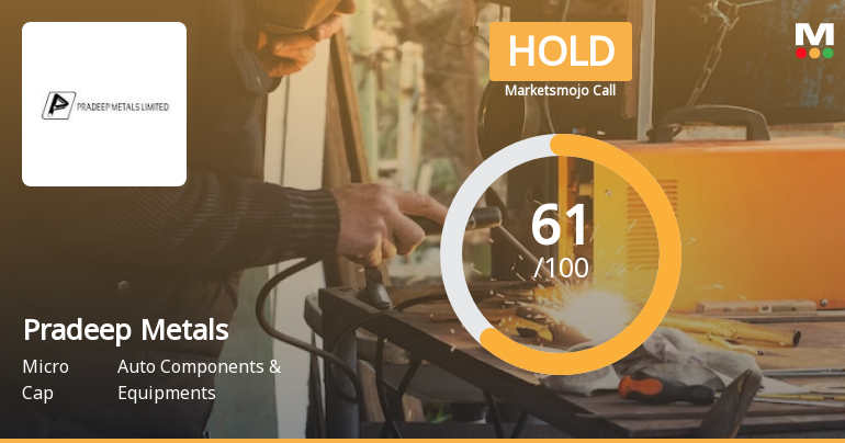 Pradeep Metals Ltd is Rated Hold