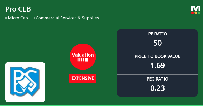 Pro CLB Global Ltd Valuation Shifts Signal Price Attractiveness Concerns