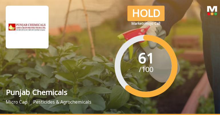 Punjab Chemicals & Crop Protection Ltd is Rated Hold