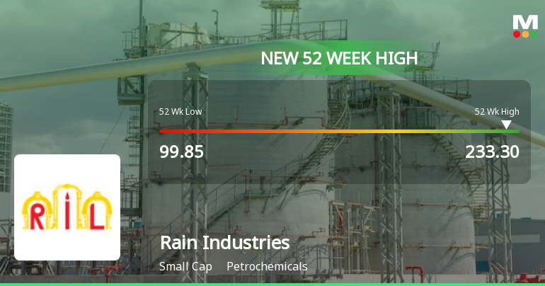 Broad-Based Technical Strength Lifts Rain Industries Ltd to 52-Week High of Rs 233.3