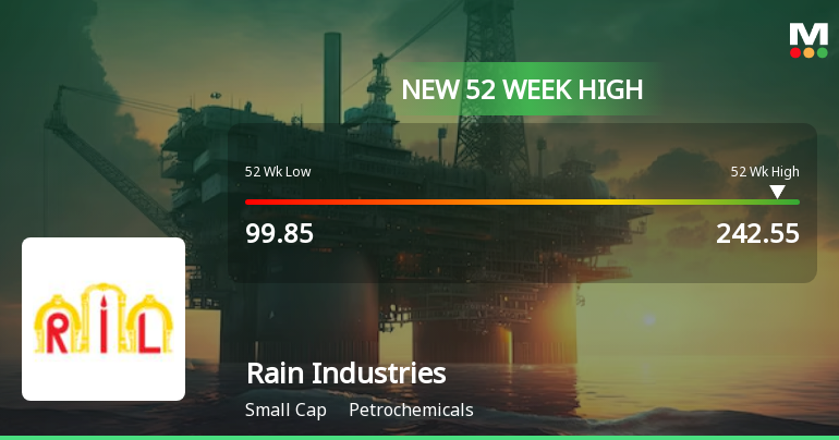 Broad-Based Technical Strength Lifts Rain Industries Ltd to 52-Week High of Rs 242.55
