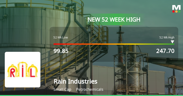 Broad-Based Technical Strength Lifts Rain Industries Ltd to 52-Week High of Rs 247.7