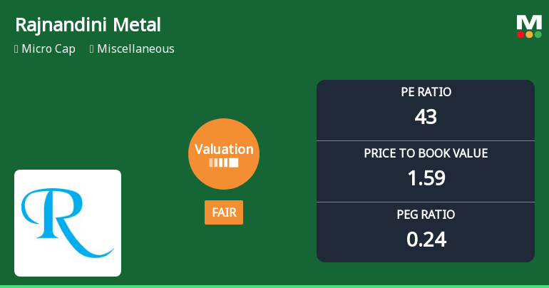 Rajnandini Metal Ltd’s Valuation Shifts to Fair Amidst Weak Returns and Sector Comparisons