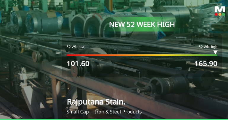 Broad-Based Technical Strength Lifts Rajputana Stainless Ltd to 52-Week High of Rs 165.9