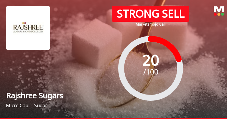 Rajshree Sugars & Chemicals Ltd is Rated Strong Sell