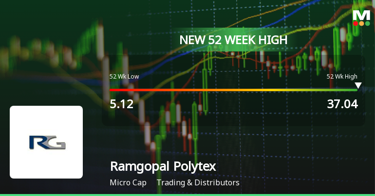Broad-Based Technical Strength Lifts Ramgopal Polytex Ltd to 52-Week High of Rs 37.04