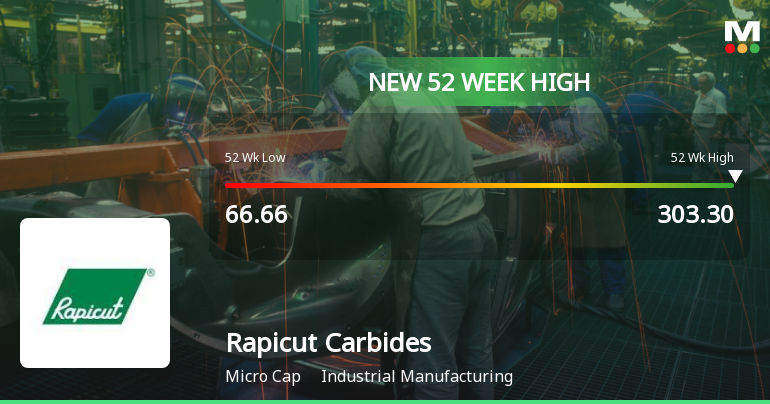 Broad-Based Technical Strength Lifts Rapicut Carbides Ltd to 52-Week High of Rs 303.3