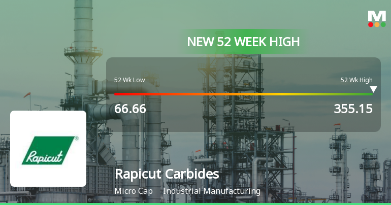 Broad-Based Technical Strength Lifts Rapicut Carbides Ltd to 52-Week High of Rs 355.15