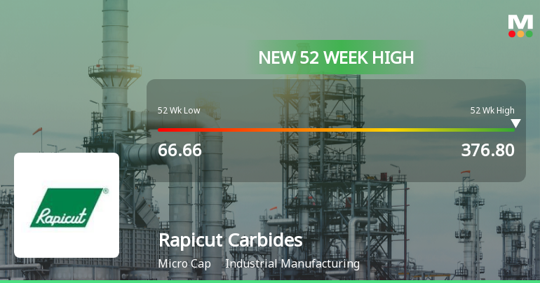 Broad-Based Technical Strength Lifts Rapicut Carbides Ltd to 52-Week High of Rs 376.8