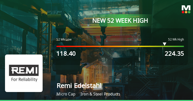 Broad-Based Technical Strength Lifts Remi Edelstahl Tubulars Ltd to 52-Week High of Rs 219