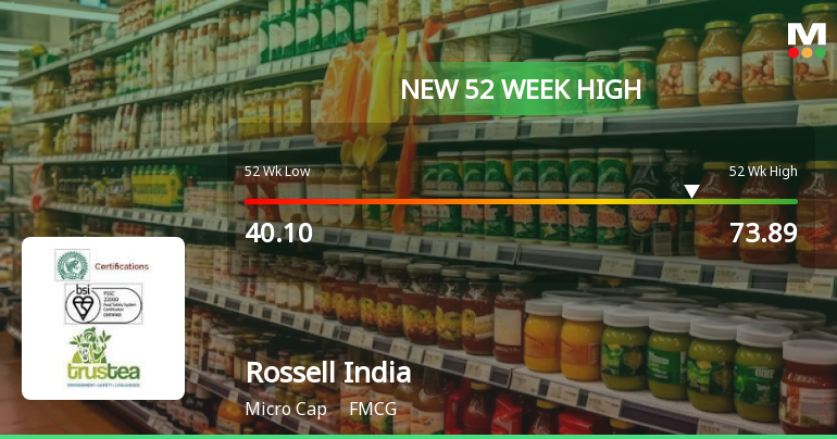 Broad-Based Technical Strength Lifts Rossell India Ltd to 52-Week High of Rs 73.89