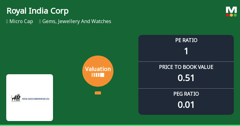 Royal India Corporation Ltd Valuation Shifts Signal Elevated Risk Amid Peer Comparison