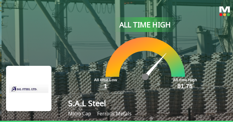 S.A.L Steel Hits All-Time High of Rs 81.75 Amid Mixed Signals