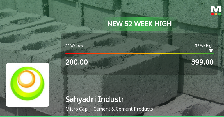 Broad-Based Technical Strength Lifts Sahyadri Industries Ltd to 52-Week High of Rs 394