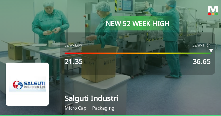 Broad-Based Technical Strength Lifts Salguti Industries Ltd to 52-Week High of Rs 36.65