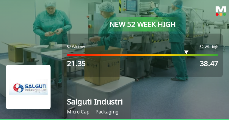 Broad-Based Technical Strength Lifts Salguti Industries Ltd to 52-Week High of Rs 38.47