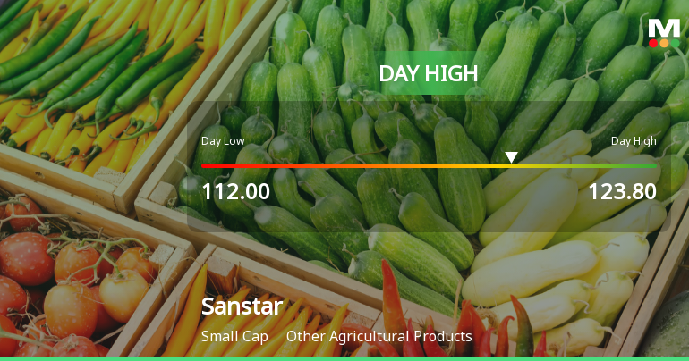Sanstar Ltd Surges 9.87% to Day's High of Rs 122.5 — Outperforms Sector by 6.89 Percentage Points