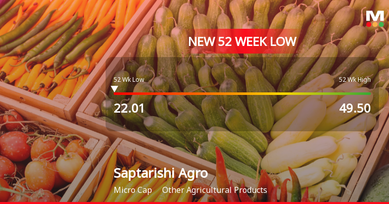Saptarishi Agro Industries Ltd Falls to 52-Week Low of Rs 22.01 as Sell-Off Deepens