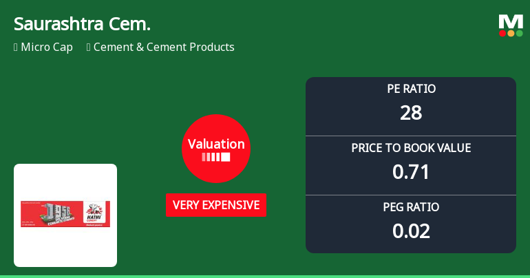Saurashtra Cement Ltd Valuation Shifts Signal Elevated Price Risks