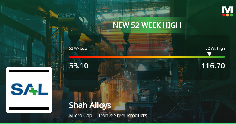 Broad-Based Technical Strength Lifts Shah Alloys Ltd to 52-Week High of Rs 114.34