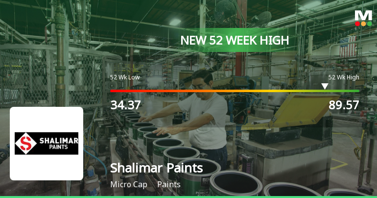 Broad-Based Technical Strength Lifts Shalimar Paints Ltd. to 52-Week High of Rs 89.57